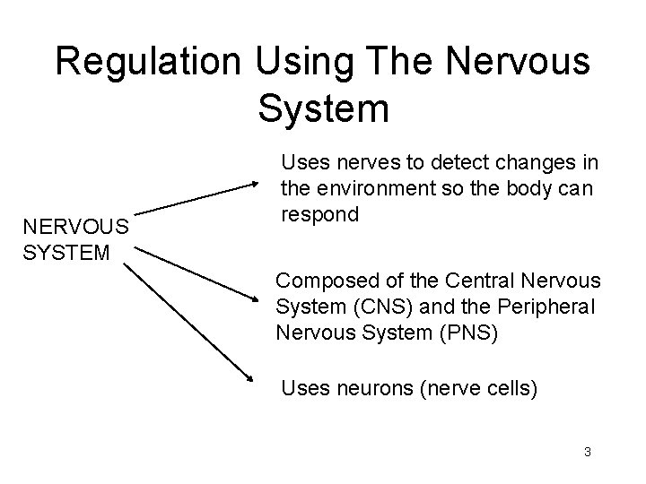 Regulation Using The Nervous System NERVOUS SYSTEM Uses nerves to detect changes in the