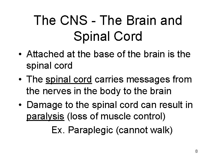 The CNS - The Brain and Spinal Cord • Attached at the base of