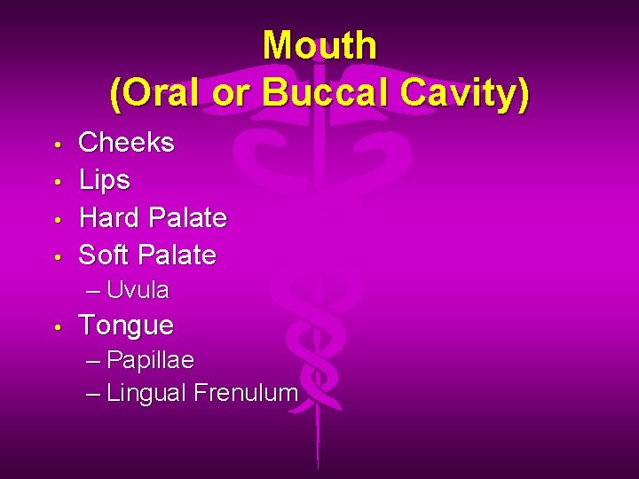 Mouth (Oral or Buccal Cavity) • • Cheeks Lips Hard Palate Soft Palate –