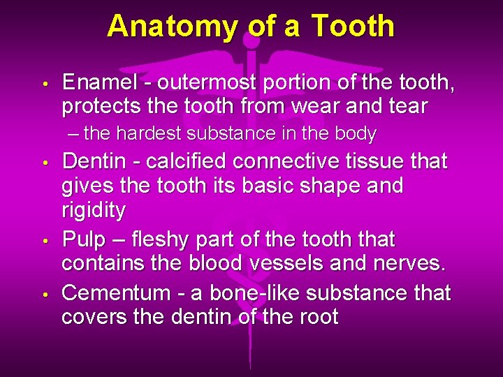 Anatomy of a Tooth • Enamel - outermost portion of the tooth, protects the