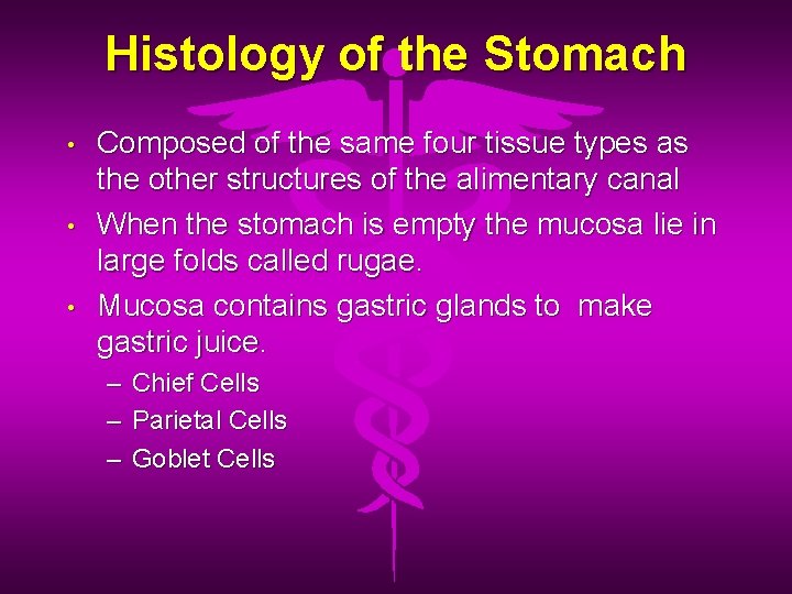 Histology of the Stomach • • • Composed of the same four tissue types