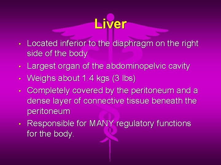 Liver • • • Located inferior to the diaphragm on the right side of