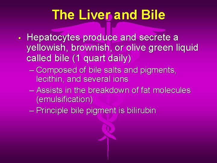 The Liver and Bile • Hepatocytes produce and secrete a yellowish, brownish, or olive
