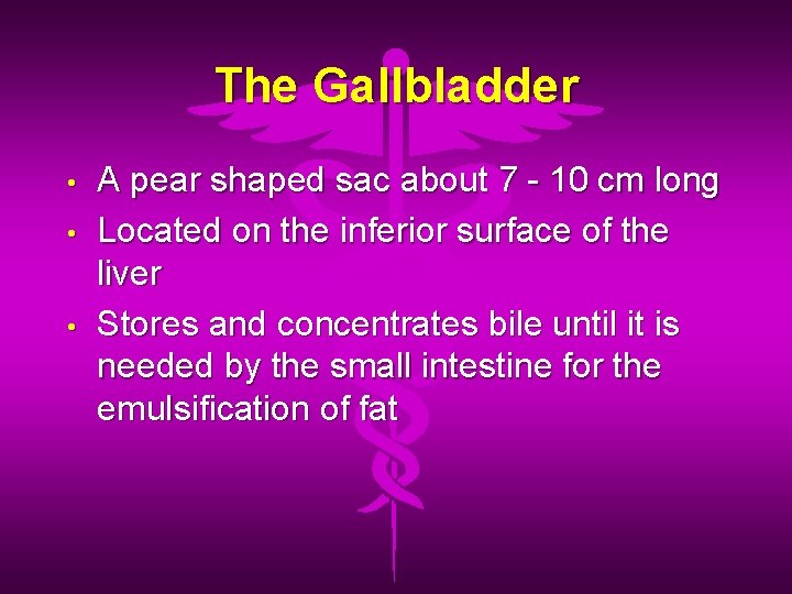 The Gallbladder • • • A pear shaped sac about 7 - 10 cm