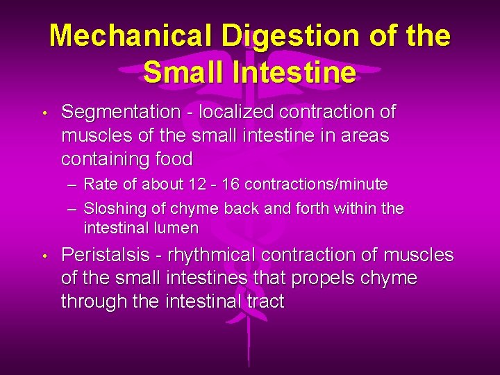 Mechanical Digestion of the Small Intestine • Segmentation - localized contraction of muscles of