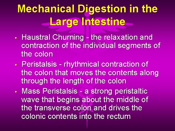 Mechanical Digestion in the Large Intestine • • • Haustral Churning - the relaxation