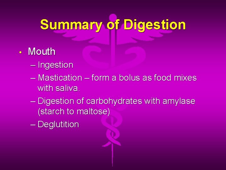 Summary of Digestion • Mouth – Ingestion – Mastication – form a bolus as