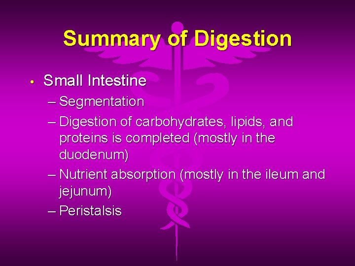 Summary of Digestion • Small Intestine – Segmentation – Digestion of carbohydrates, lipids, and