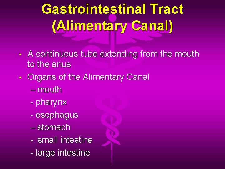 Gastrointestinal Tract (Alimentary Canal) • • A continuous tube extending from the mouth to