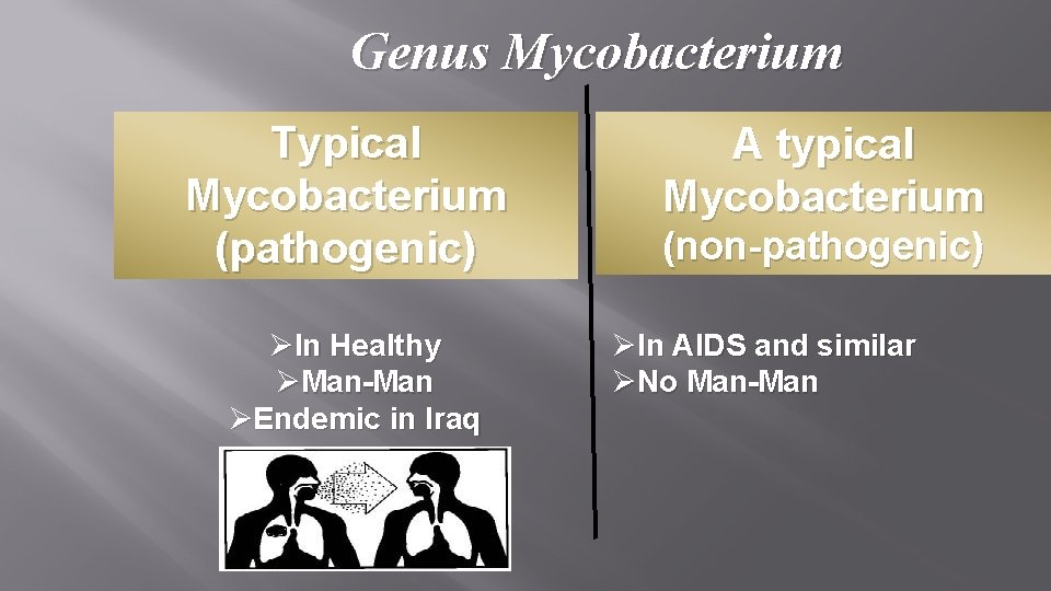 Genus Mycobacterium Typical Mycobacterium (pathogenic) ØIn Healthy ØMan-Man ØEndemic in Iraq A typical Mycobacterium