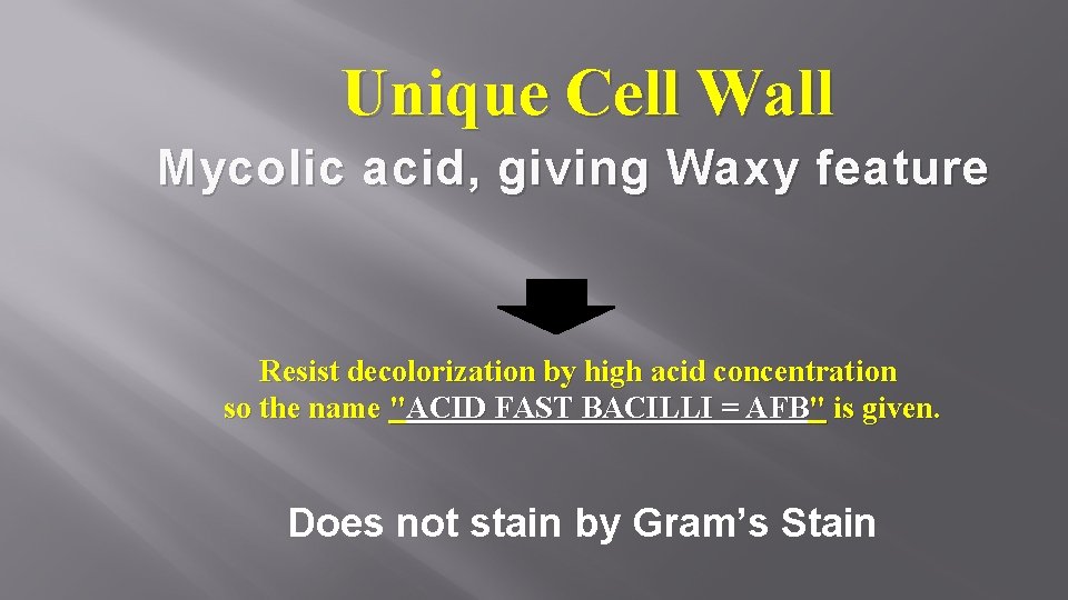 Unique Cell Wall Mycolic acid, giving Waxy feature Resist decolorization by high acid concentration