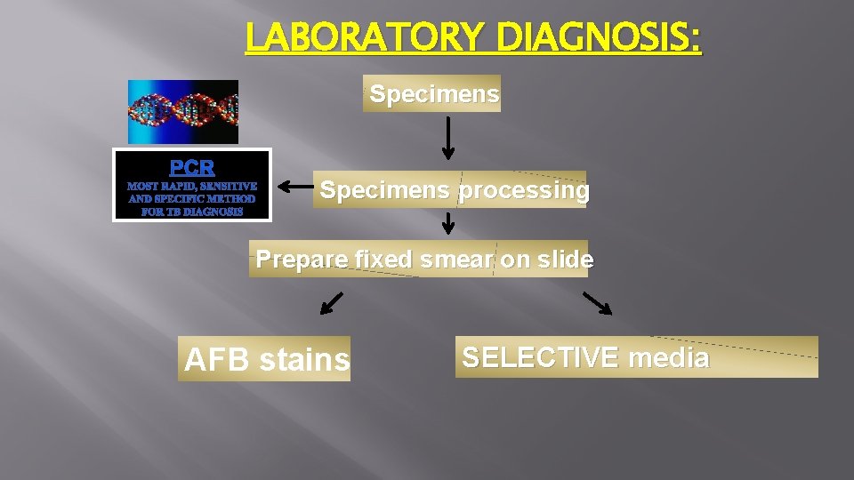 LABORATORY DIAGNOSIS: Specimens processing Prepare fixed smear on slide AFB stains SELECTIVE media 