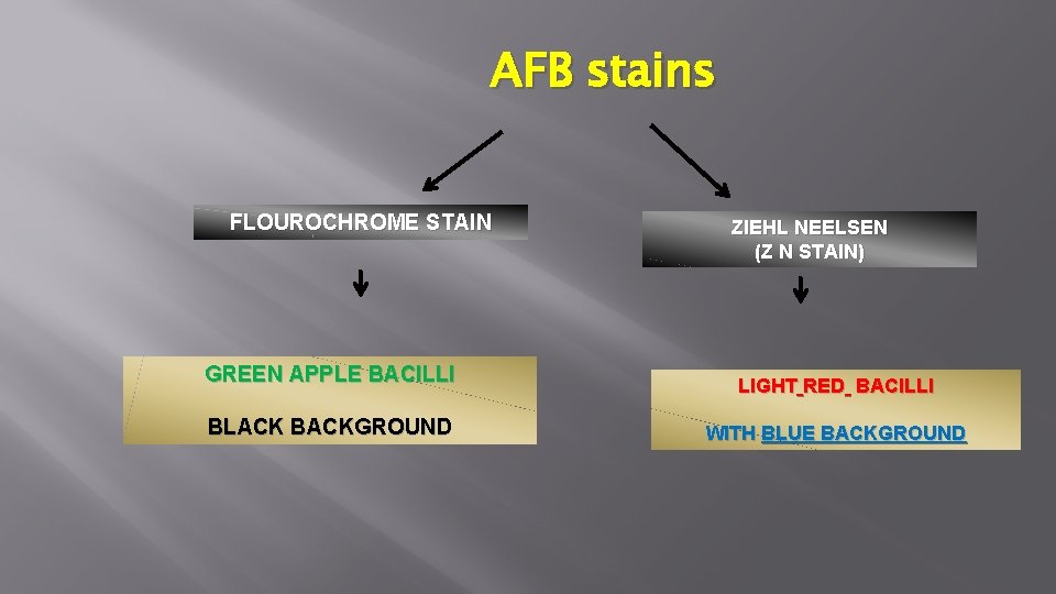 AFB stains FLOUROCHROME STAIN GREEN APPLE BACILLI BLACK BACKGROUND ZIEHL NEELSEN (Z N STAIN)