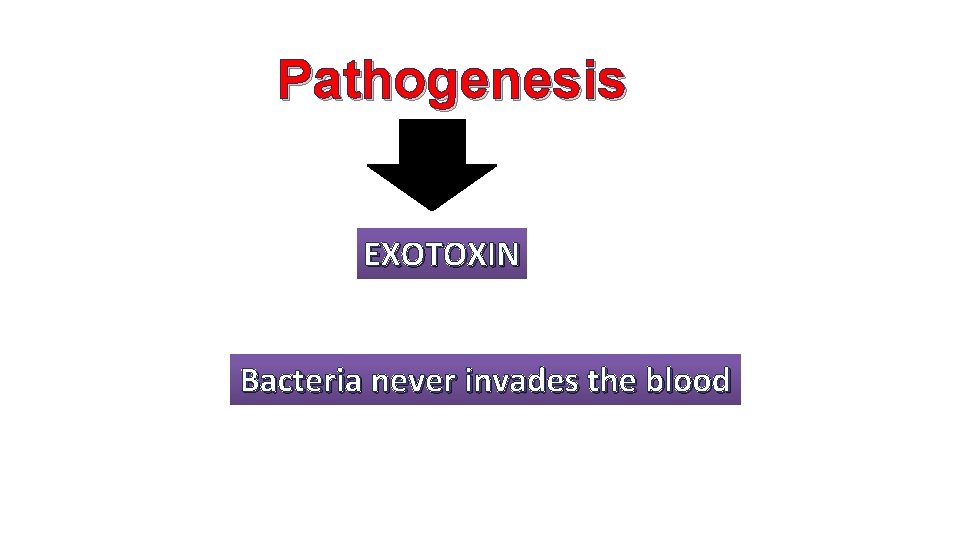 Pathogenesis EXOTOXIN Bacteria never invades the blood 