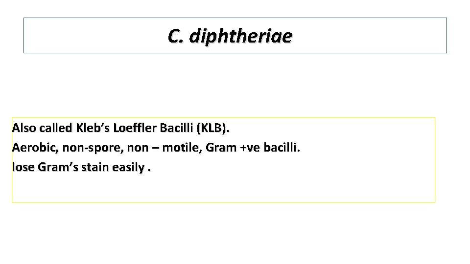 C. diphtheriae Also called Kleb’s Loeffler Bacilli (KLB). Aerobic, non-spore, non – motile, Gram