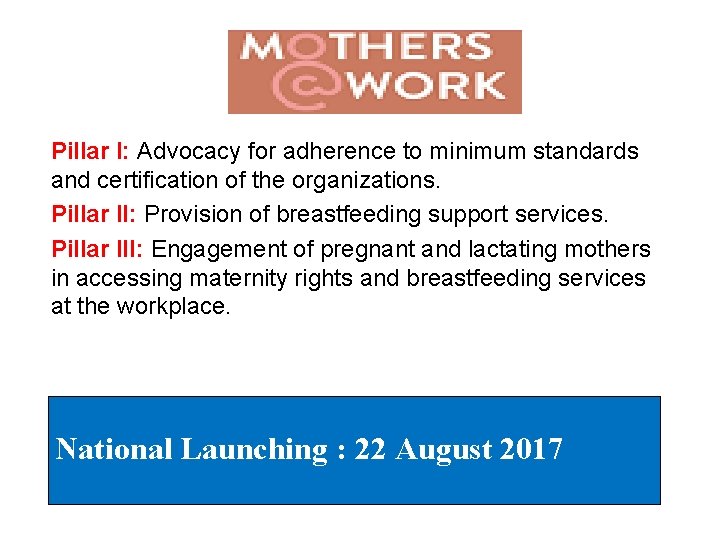 Pillar I: Advocacy for adherence to minimum standards and certification of the organizations. Pillar