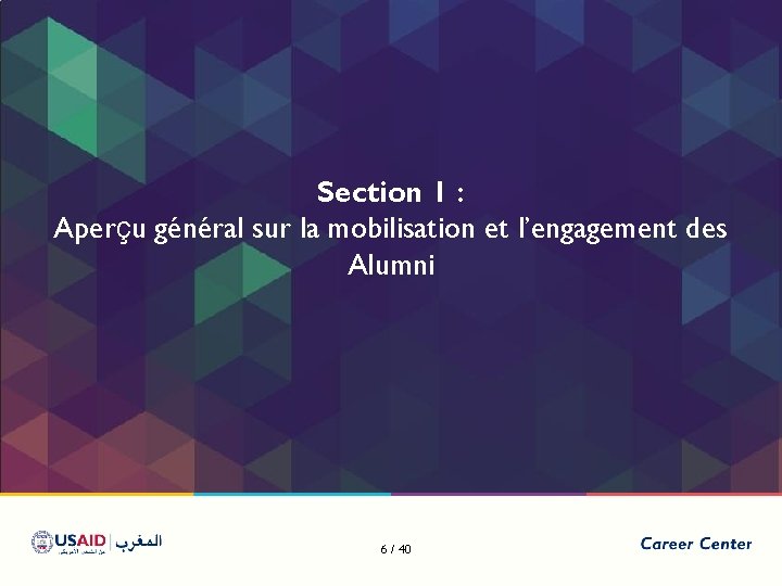 Section 1 : Aperçu général sur la mobilisation et l’engagement des Alumni 6 /