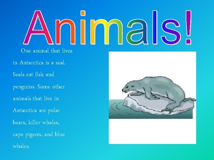 One animal that lives in Antarctica is a seal. Seals eat fish and penguins.