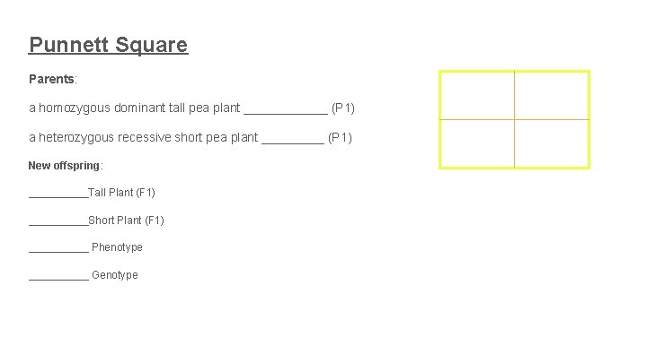 Punnett Square Parents: a homozygous dominant tall pea plant ______ (P 1) a heterozygous