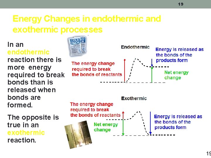 19 Energy Changes in endothermic and exothermic processes In an endothermic reaction there is