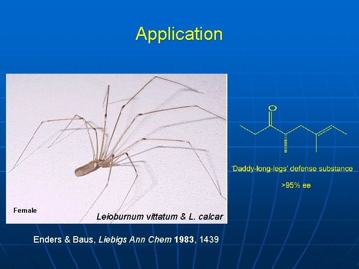 Application Leioburnum vittatum & L. calcar Enders & Baus, Liebigs Ann Chem 1983, 1439