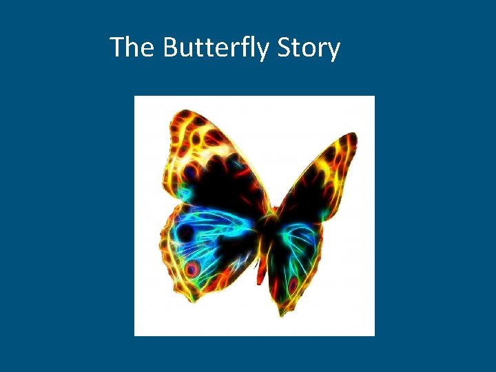 The Butterfly Story 