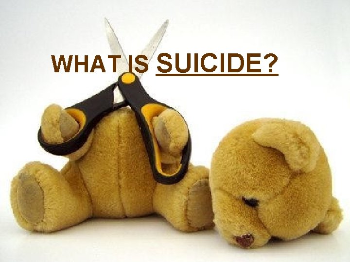WHAT IS SUICIDE? 