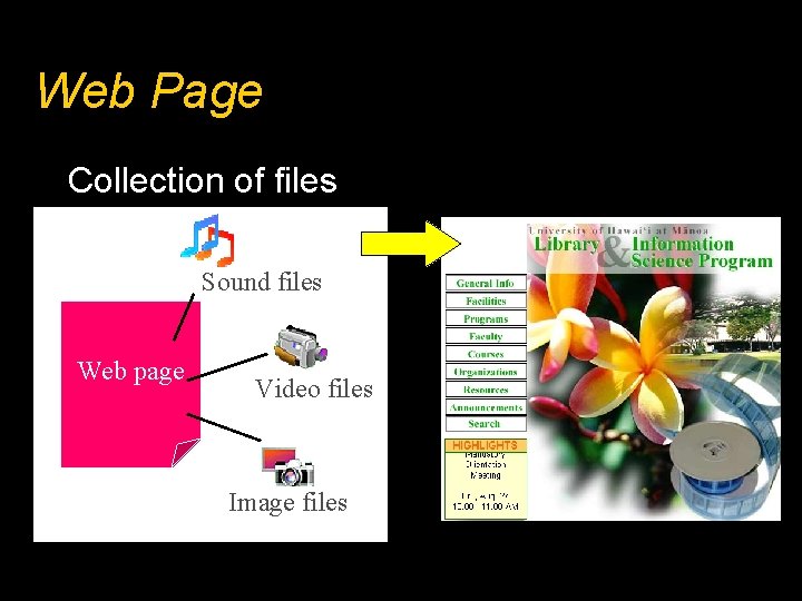 Web Page Collection of files Sound files Web page Video files Image files 