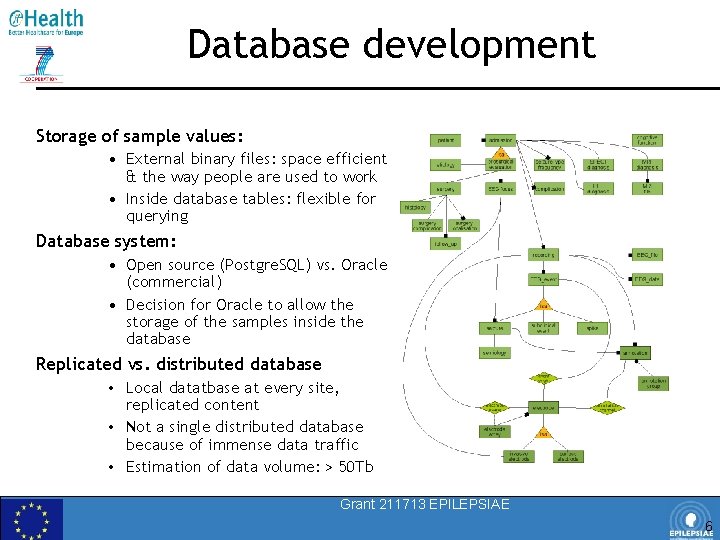 Database development Storage of sample values: • External binary files: space efficient & the