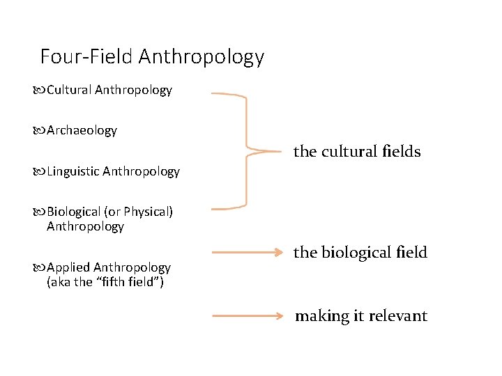 Four-Field Anthropology Cultural Anthropology Archaeology the cultural fields Linguistic Anthropology Biological (or Physical) Anthropology