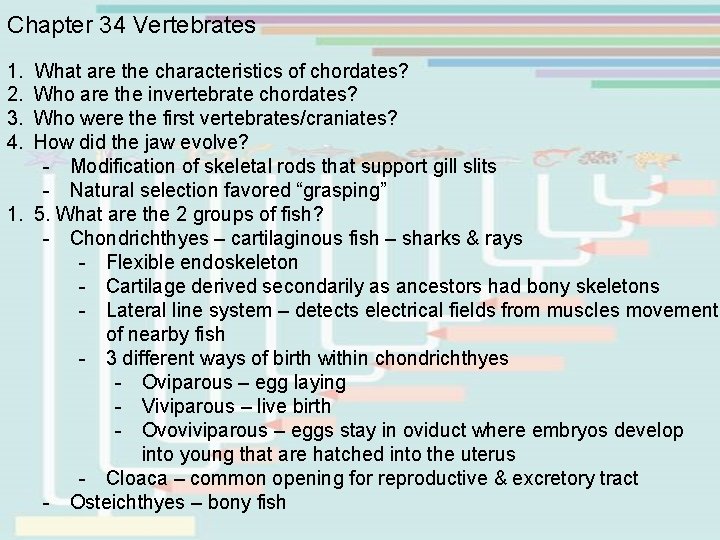 Chapter 34 Vertebrates 1. What are the characteristics of chordates? 2. Who are the