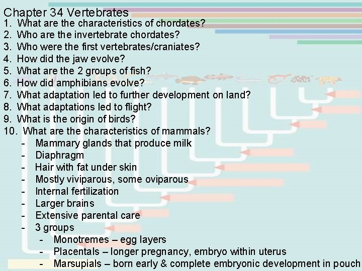 Chapter 34 Vertebrates 1. What are the characteristics of chordates? 2. Who are the