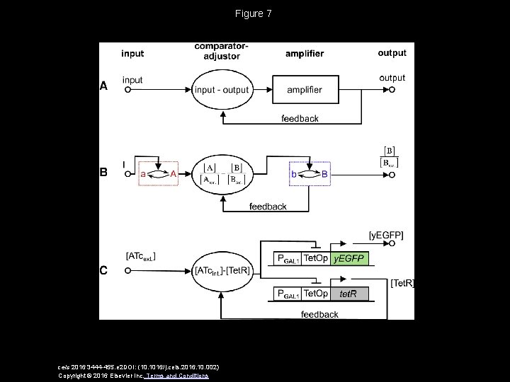 Figure 7 cels 2016 3444 -455. e 2 DOI: (10. 1016/j. cels. 2016. 10.