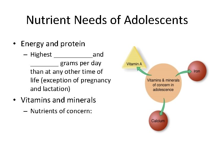 Nutrient Needs of Adolescents • Energy and protein – Highest ______and ____ grams per