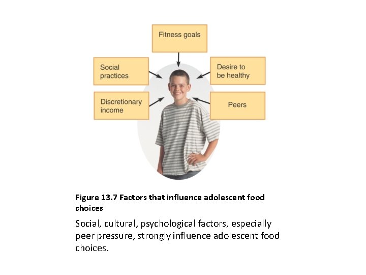 Figure 13. 7 Factors that influence adolescent food choices Social, cultural, psychological factors, especially