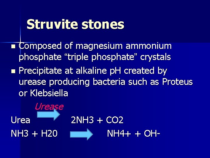 Struvite stones Composed of magnesium ammonium phosphate “triple phosphate” crystals n Precipitate at alkaline