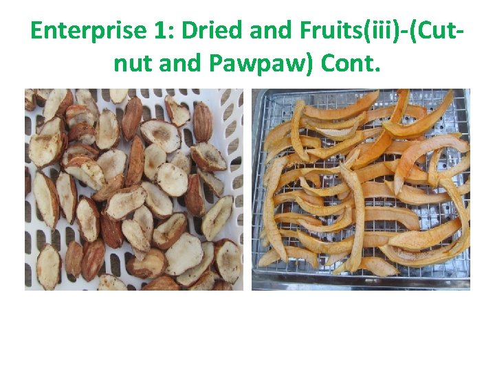 Enterprise 1: Dried and Fruits(iii)-(Cutnut and Pawpaw) Cont. 