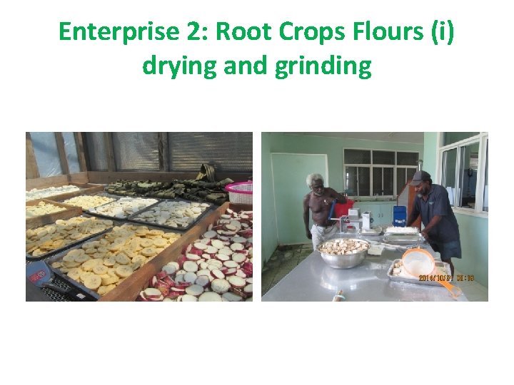 Enterprise 2: Root Crops Flours (i) drying and grinding 