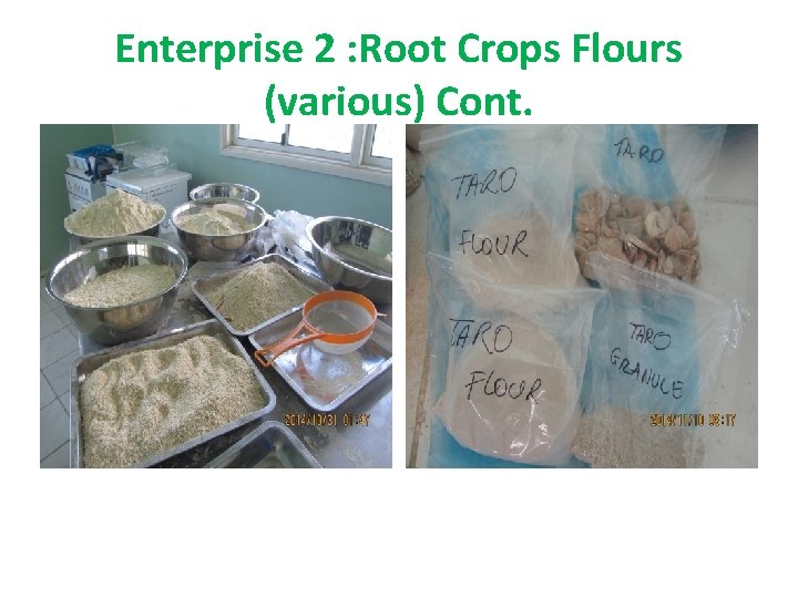 Enterprise 2 : Root Crops Flours (various) Cont. 