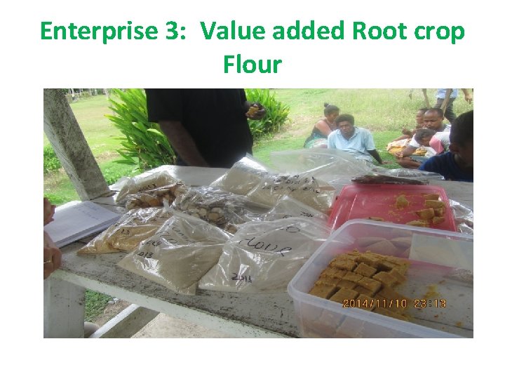 Enterprise 3: Value added Root crop Flour 