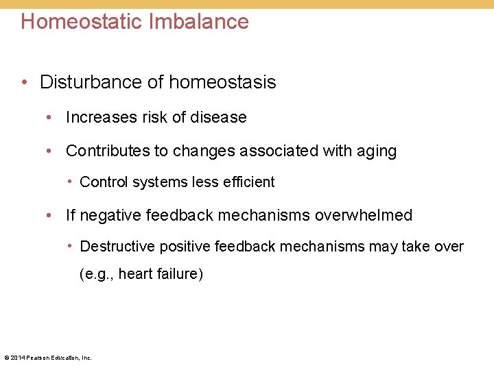 Homeostatic Imbalance • Disturbance of homeostasis • Increases risk of disease • Contributes to Homeostatic Imbalance • Disturbance of homeostasis • Increases risk of disease • Contributes to