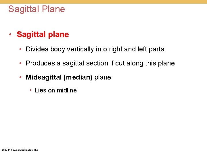 Sagittal Plane • Sagittal plane • Divides body vertically into right and left parts Sagittal Plane • Sagittal plane • Divides body vertically into right and left parts