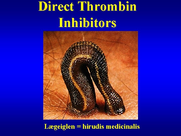 Direct Thrombin Inhibitors Lægeiglen = hirudis medicinalis 