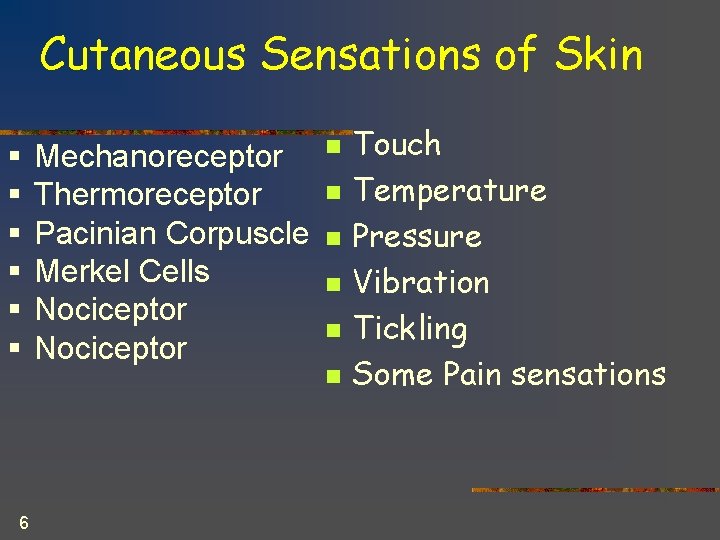 Cutaneous Sensations of Skin § § § 6 Mechanoreceptor Thermoreceptor Pacinian Corpuscle Merkel Cells