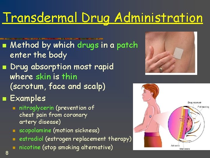 Transdermal Drug Administration n Method by which drugs in a patch enter the body