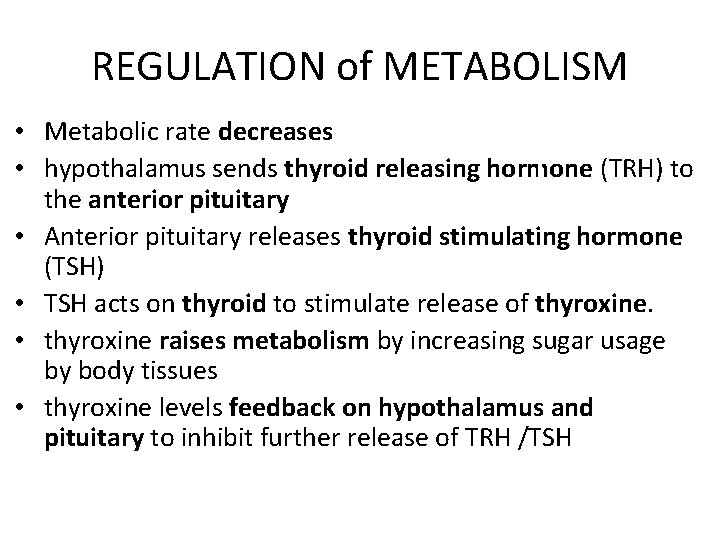 REGULATION of METABOLISM • Metabolic rate decreases • hypothalamus sends thyroid releasing hormone (TRH)