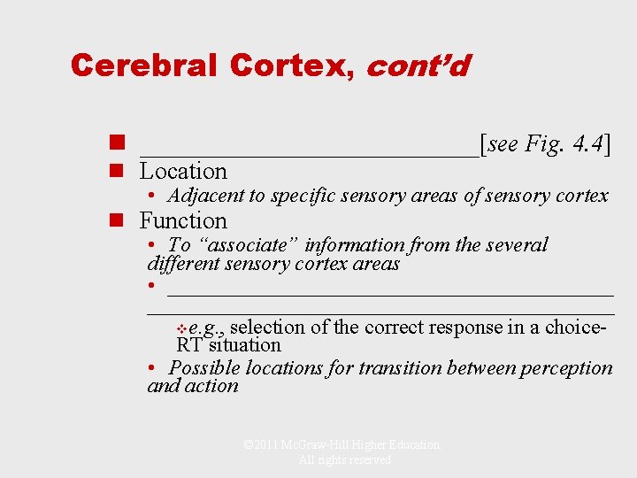 Cerebral Cortex, cont’d n ____________[see Fig. 4. 4] n Location • Adjacent to specific