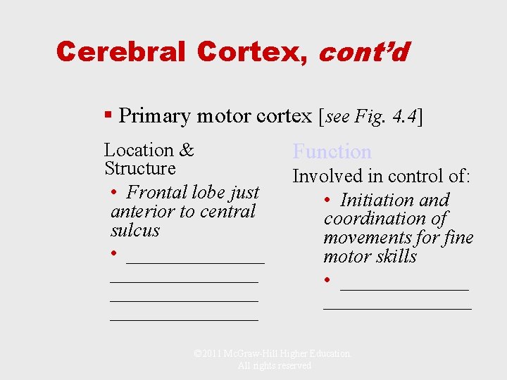 Cerebral Cortex, cont’d § Primary motor cortex [see Fig. 4. 4] Location & Structure