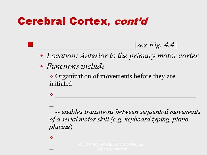 Cerebral Cortex, cont’d n ___________[see Fig. 4. 4] • Location: Anterior to the primary