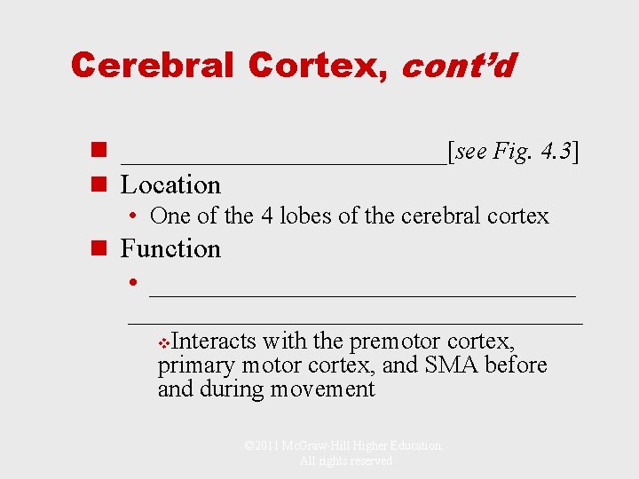 Cerebral Cortex, cont’d n ____________[see Fig. 4. 3] n Location • One of the